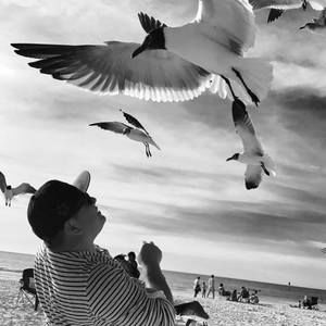 Meet your Posher, Ariel